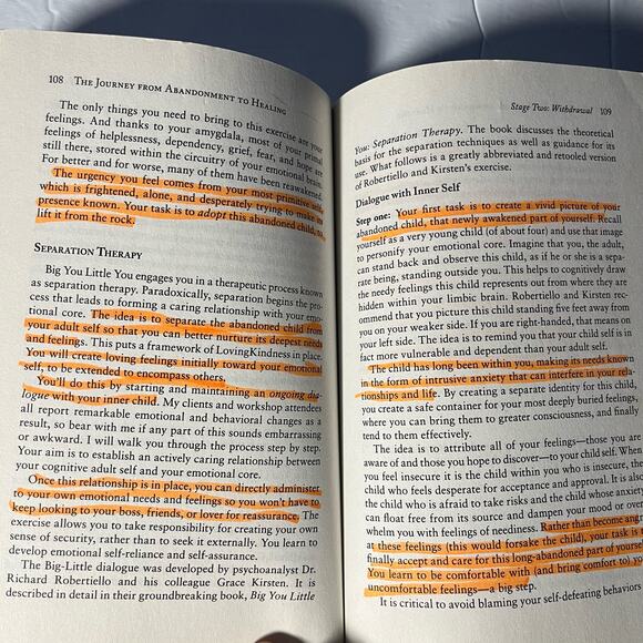 The Journey from Abandonment to Healing: Revised and Updated - Picture 7 of 7